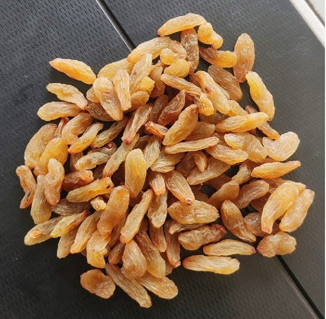 Nashik Golden Long Raisin AA