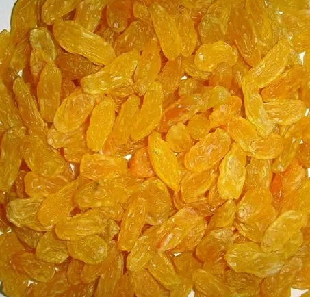 Nashik Golden Long Raisin AAA