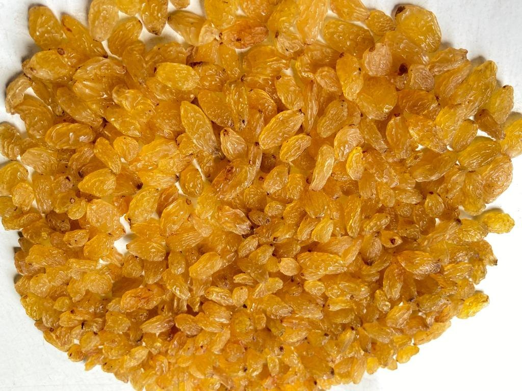 Sangli Golden A Raisins