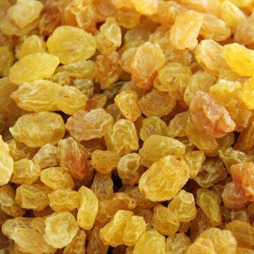 Sangli Golden AAA Raisins